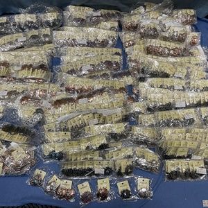 Brand New Bogot Jewelry Different Earrings  850+ Piece Lot All New with Tags
